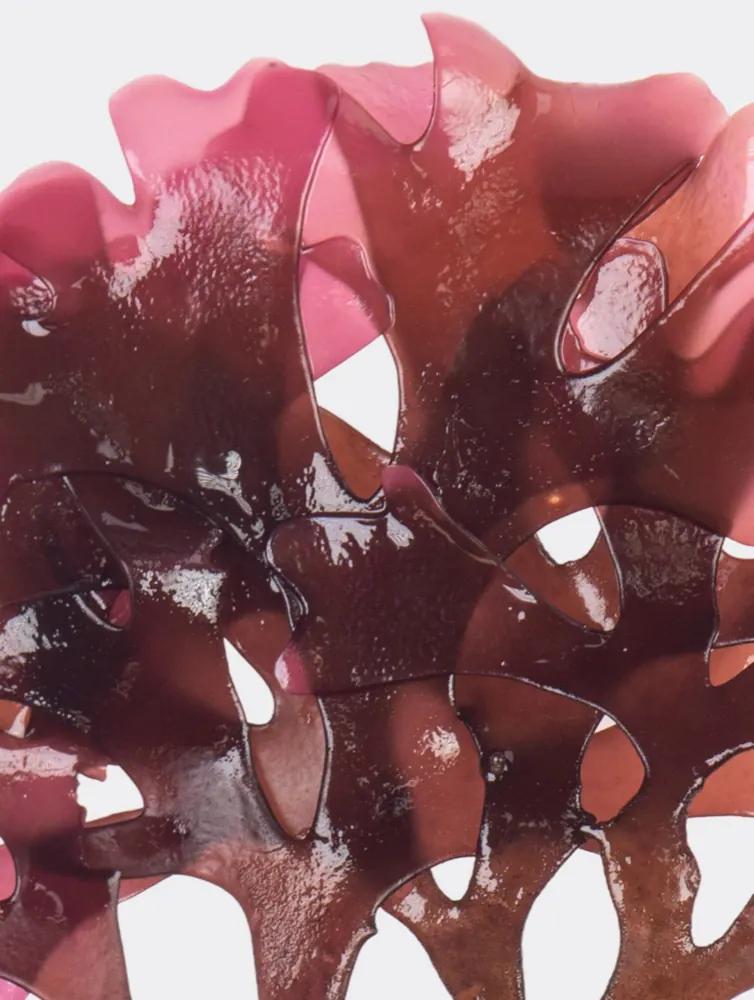 Caffeine + Vitamin C Eye Patches detail 3